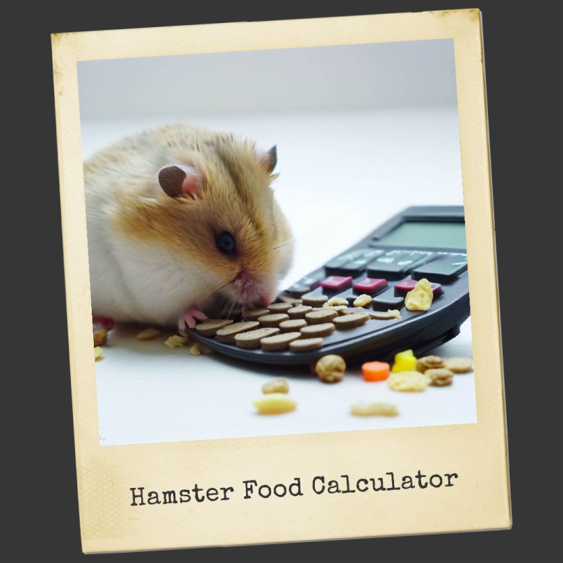 hamster food consumption calculator